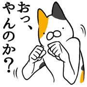 Funny cat everyday sticker