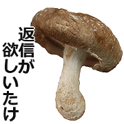 Shiitake mushrooms