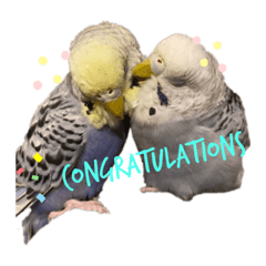 tomomi_20210131150847