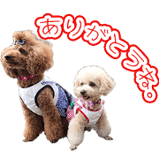 LALA AND CANDY Sticker