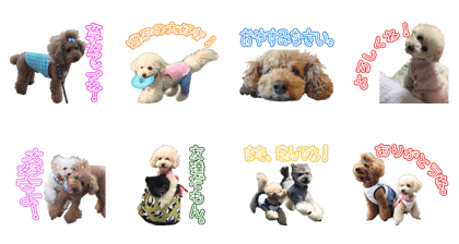 LALA AND CANDY Sticker