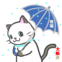 Daily life's conversation of a rainy cat