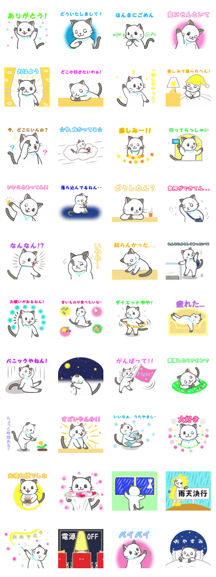 Daily life's conversation of a rainy cat