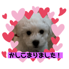 mimi_20210201215526