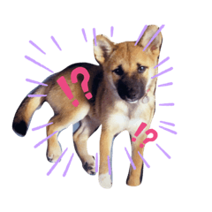 haruna_20210201222920