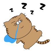 Mr.Tabby