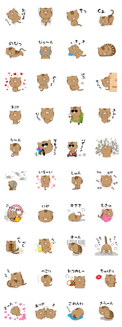 Mr.Tabby