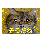 tomo_20210202084603