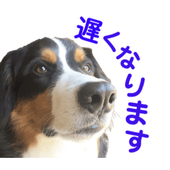 tommy_20210202093842