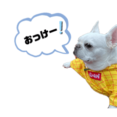 Kii_20210201184527