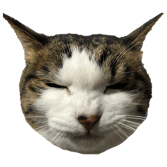 Takashi_20210201190627