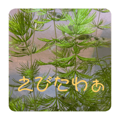 ye_20210201215752