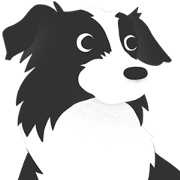 I Love Border Collie Sticker