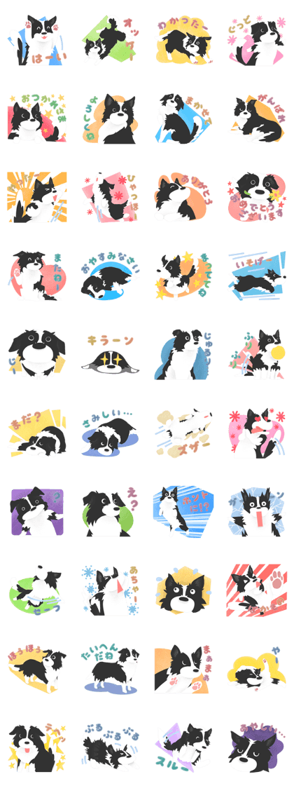 I Love Border Collie Sticker
