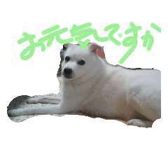 snowy_20210201230001