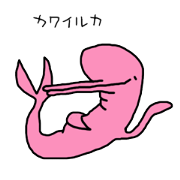 platanistoidea