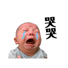 我家有顆胖包子2.0