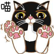 Truth Cat - Life Marquee - 1
