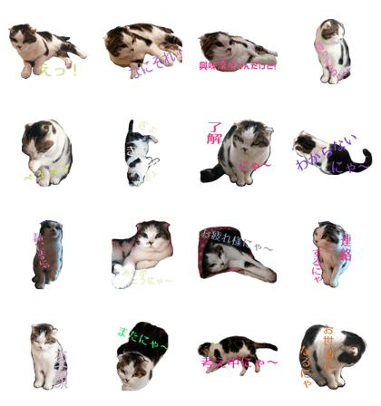 My fun cats 2.