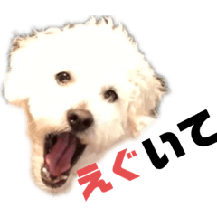 EIJI MIKAMI_20210202002638