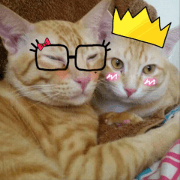 Auon and Pang