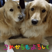 LOVE & AI Sticker
