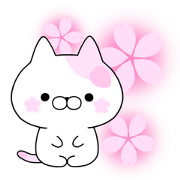 sakura cat 3