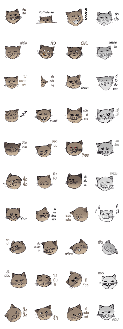Meow meow is happy