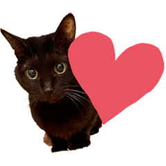 cherry_20210202100025