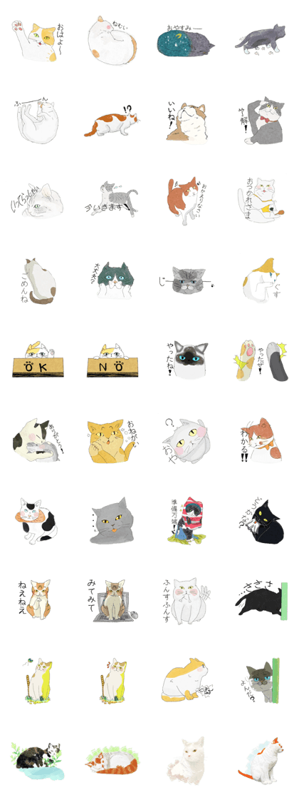 Healthy Cats