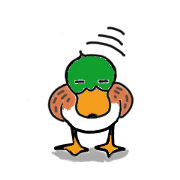 Lovely Duck