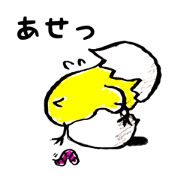 Chick story