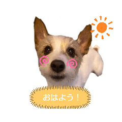 Asuka_20210201211923