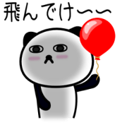 Pura Panda - Kai