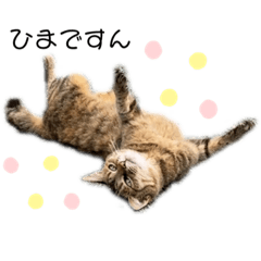 hikari_20210202132852