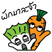 Crazy Lettuce V.2 !!