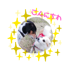 suzu_20210202140233
