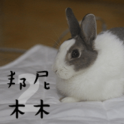 bunny mumu 2
