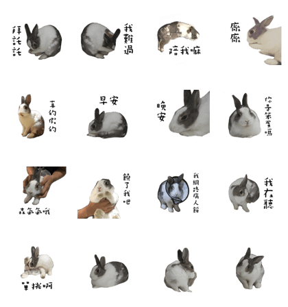 bunny mumu 2