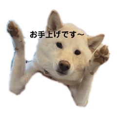 Kanae_20210202150248