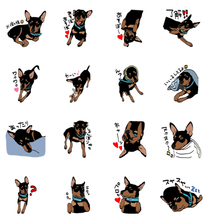 DOGDOGDOG Sticker44