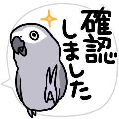 Fuku the Grey Parrot 2