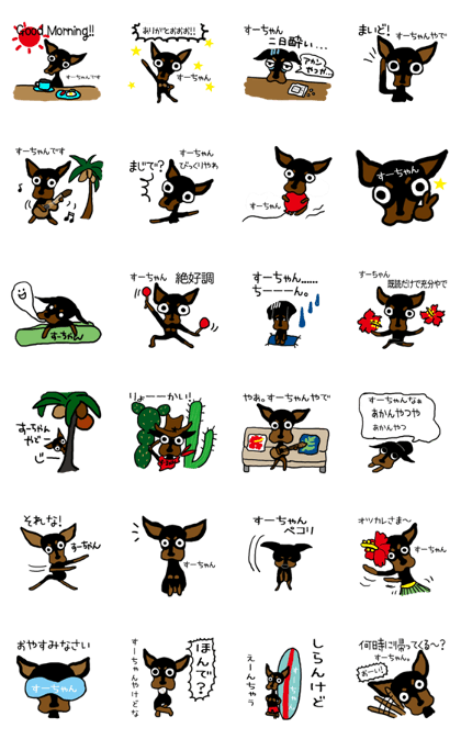 suu-chan