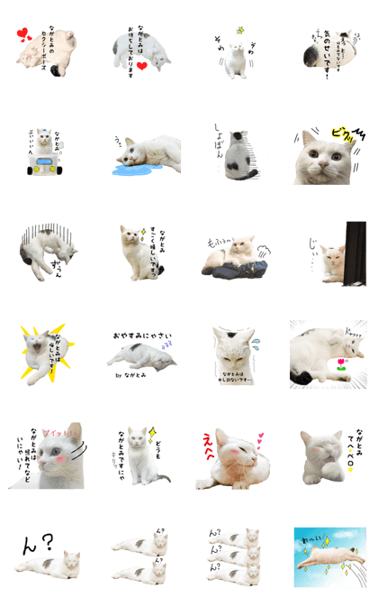 Sticker for Nagatomi who loves a cat.