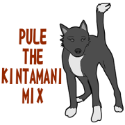 Pule