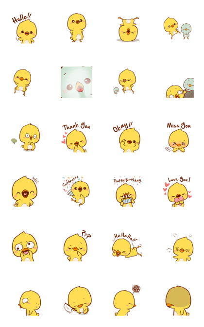 Cute Yellow Chick (EN)
