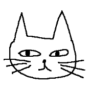 An unfriendly cat