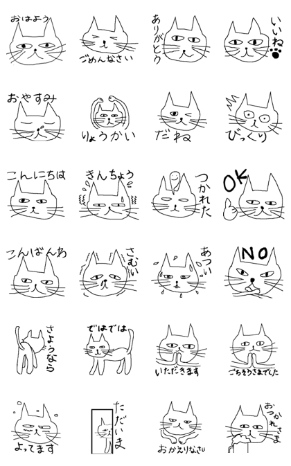 An unfriendly cat