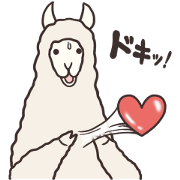 Alpaca days