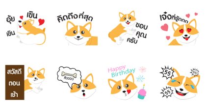 I'M DOG CORGI